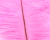 Hareline Ostrich Marabou Hot Pink