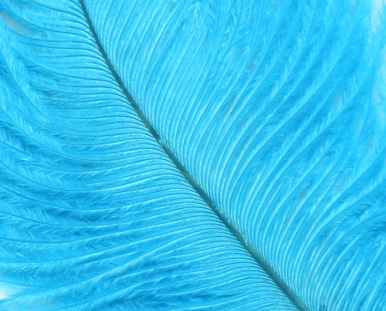 Hareline Ostrich Marabou Kingfisher Blue