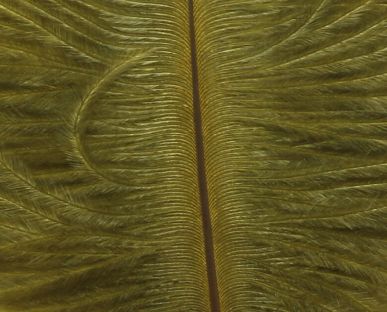 Hareline Ostrich Marabou Olive