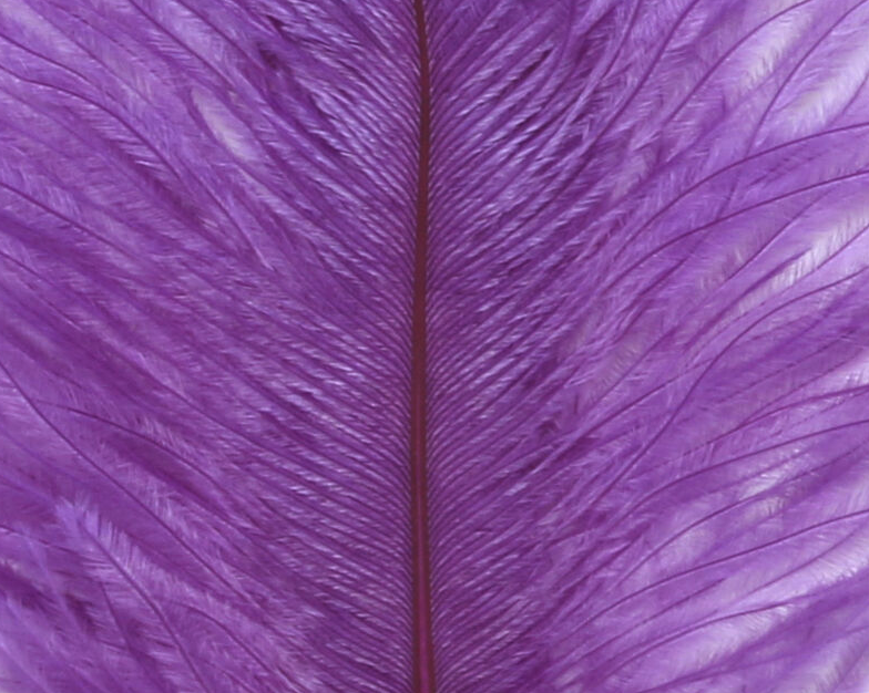 Hareline Ostrich Marabou Purple