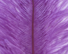 Hareline Ostrich Marabou Purple