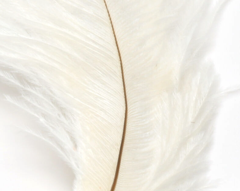 Hareline Ostrich Marabou White