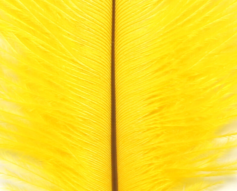 Hareline Ostrich Marabou Yellow