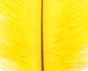 Hareline Ostrich Marabou Yellow