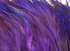 Hareline Strung Ringneck Rump Feathers Purple