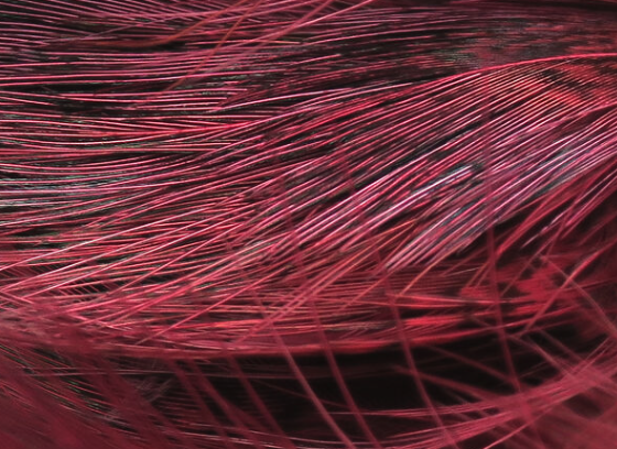 Hareline Strung Ringneck Rump Feathers Wine