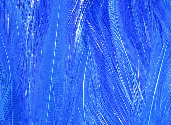 Hareline Saltwater Neck Hackle Blue