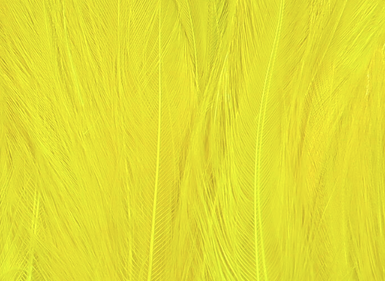 Hareline Saltwater Neck Hackle Fl Yellow