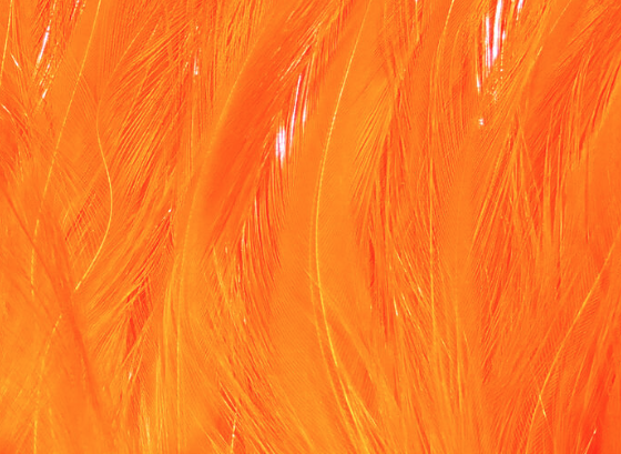 Hareline Saltwater Neck Hackle Hot Orange