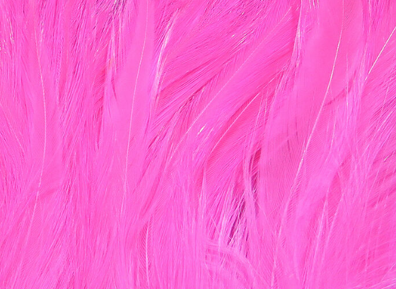 Hareline Saltwater Neck Hackle Hot Pink