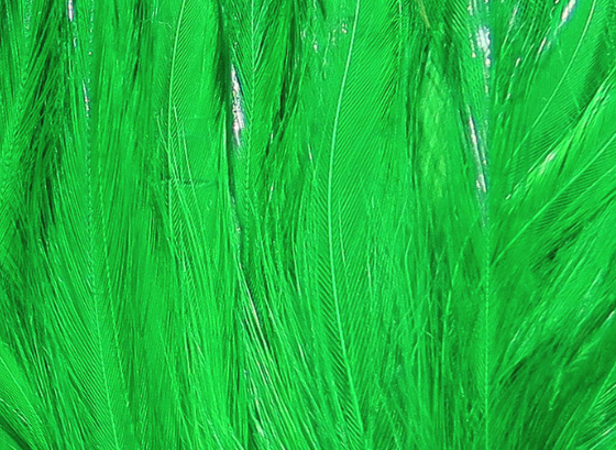 Hareline Saltwater Neck Hackle Kelly Green
