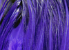 Hareline Saltwater Neck Hackle Purple