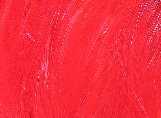 Hareline Saltwater Neck Hackle Red