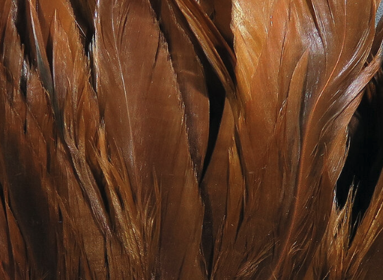 Hareline Schlappen 5"-7" Fiery Brown