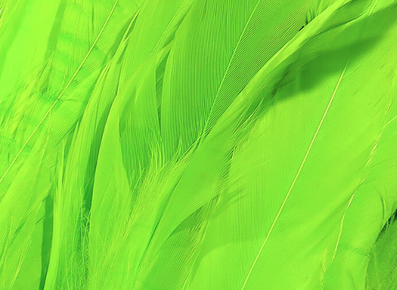 Hareline Schlappen 5"-7" Fl Chartreuse