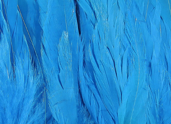 Hareline Schlappen 5"-7" Kingfisher Blue