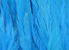 Hareline Schlappen 5"-7" Kingfisher Blue