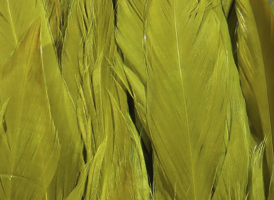 Hareline Schlappen 5"-7" Olive