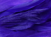Hareline Schlappen 5"-7" Purple