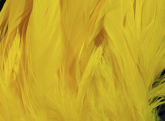 Hareline Schlappen 5"-7" Yellow