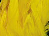 Hareline Schlappen 5"-7" Yellow