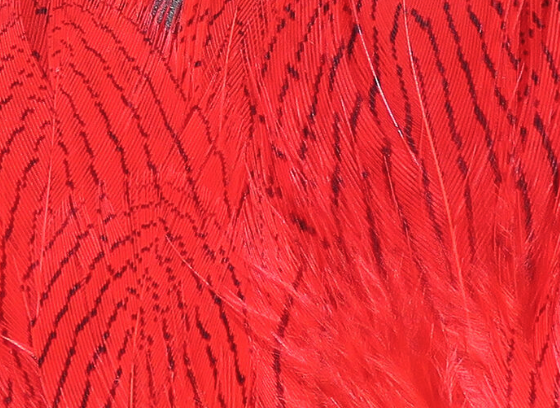 Hareline Silver Pheasant Body Feathers Red