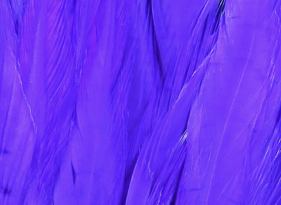 Hareline Saddle Hackle Bright Purple