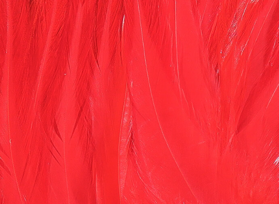 Hareline Saddle Hackle Crimson