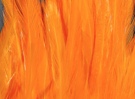 Hareline Saddle Hackle Fire Orange