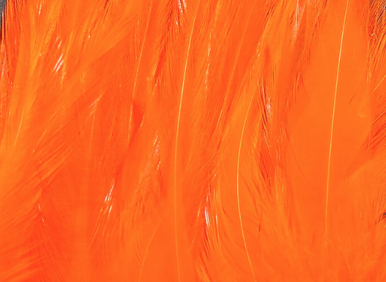 Hareline Saddle Hackle Hot Orange