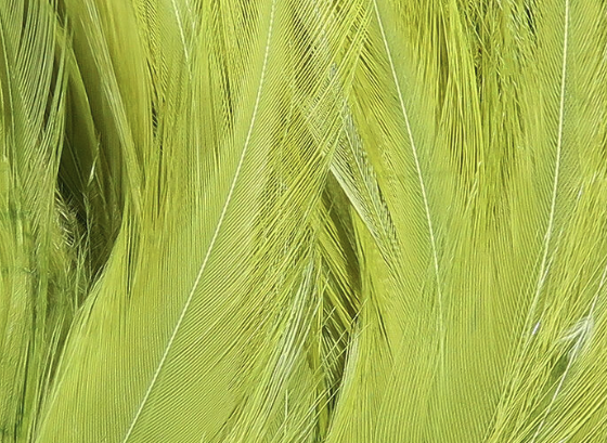 Hareline Saddle Hackle Light Olive