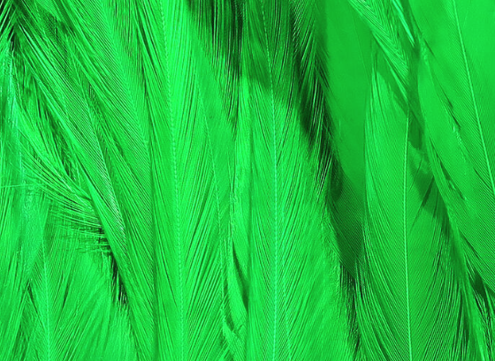 Hareline Saddle Hackle Lime Green