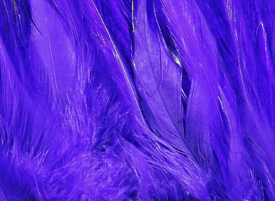 Hareline Saddle Hackle Purple