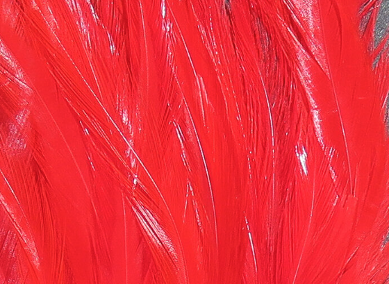 Hareline Saddle Hackle Red