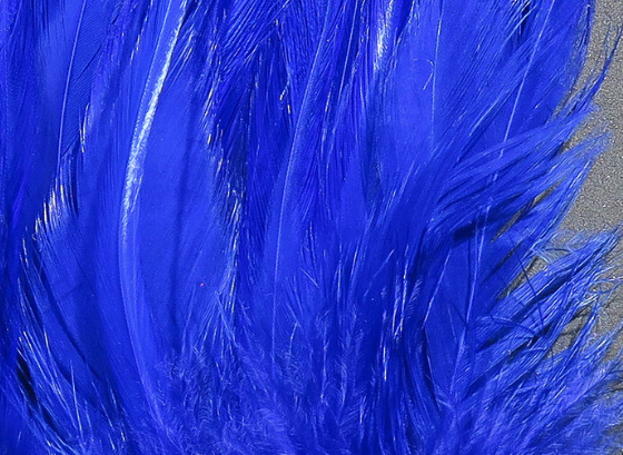 Hareline Saddle Hackle Royal Blue