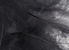 Hareline Super Select CDC Feathers Black