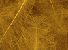 Hareline Super Select CDC Feathers Brown Olive