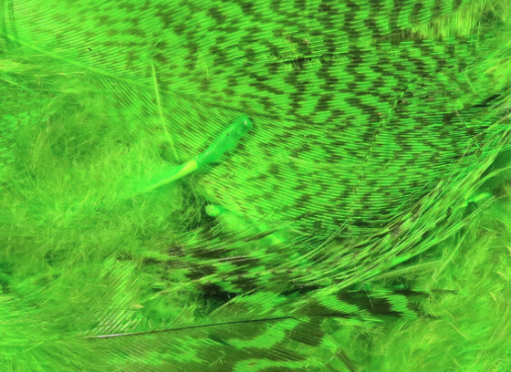 Hareline Teal Flank Feathers Chartreuse