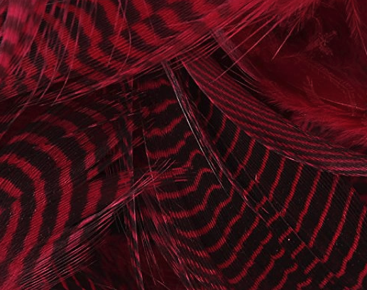 Hareline Teal Flank Feathers Red