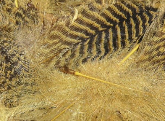 Hareline Teal Flank Feathers Woodduck Tan