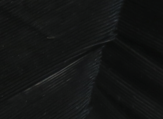 Hareline Turkey Biot Quills Black