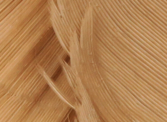 Hareline Turkey Biot Quills Callibaetis