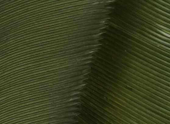 Hareline Turkey Biot Quills Dark Olive