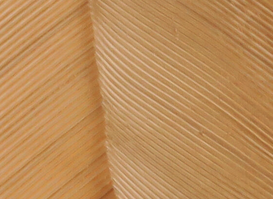 Hareline Turkey Biot Quills Hendrickson