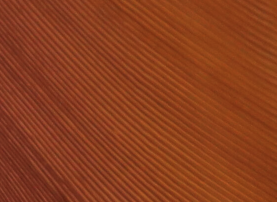 Hareline Turkey Biot Quills Rusty Spinner