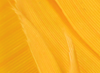 Hareline Turkey Biot Quills Sulphur Orange