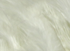 Hareline Turkey Flats White