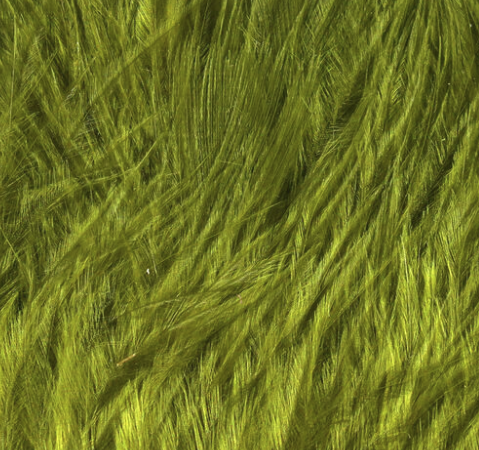 Hareline Marabou Wooly Bugger Olive