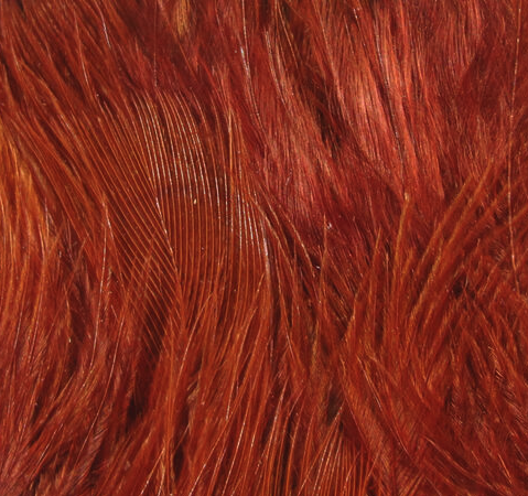 Hareline Marabou Wooly Bugger Rusty Brown