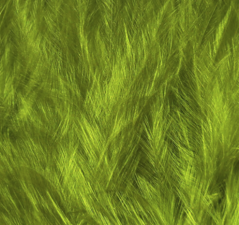 Hareline Marabou Wooly Bugger Yellow Olive